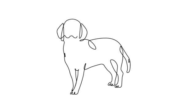 Dog Pet Animals Line Motion Graphics: A Creative Asset