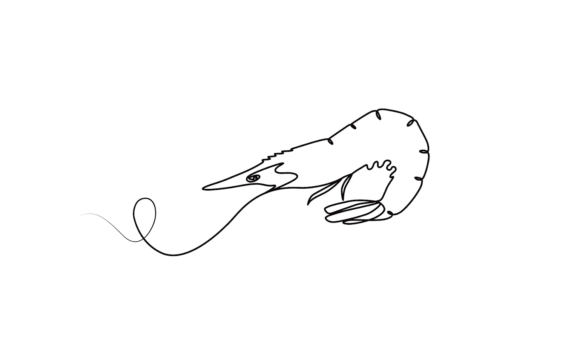 Prone Fish Seafood Motion Graphics: A Fluid Design Asset