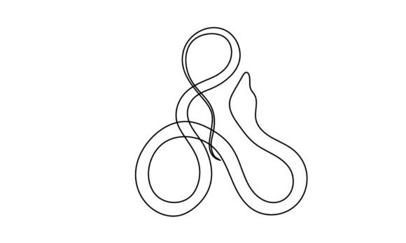 Snake Line Motion Graphics: The Fluid Power of Continuous Art