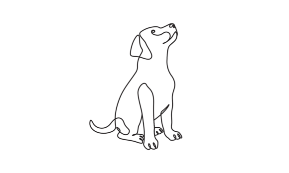 The Dog Pet Animals Line Motion Graphics: A Fluid Masterpiece