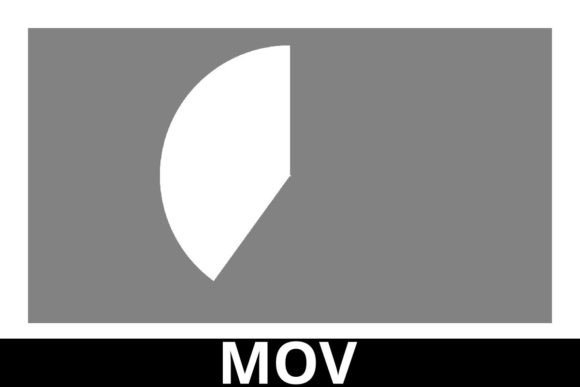 Yin Yang Motion Graphics for Footage: Dynamic Design Elements